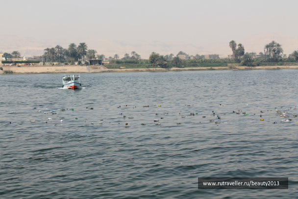 photo 305430