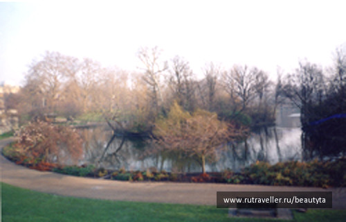 photo 189230