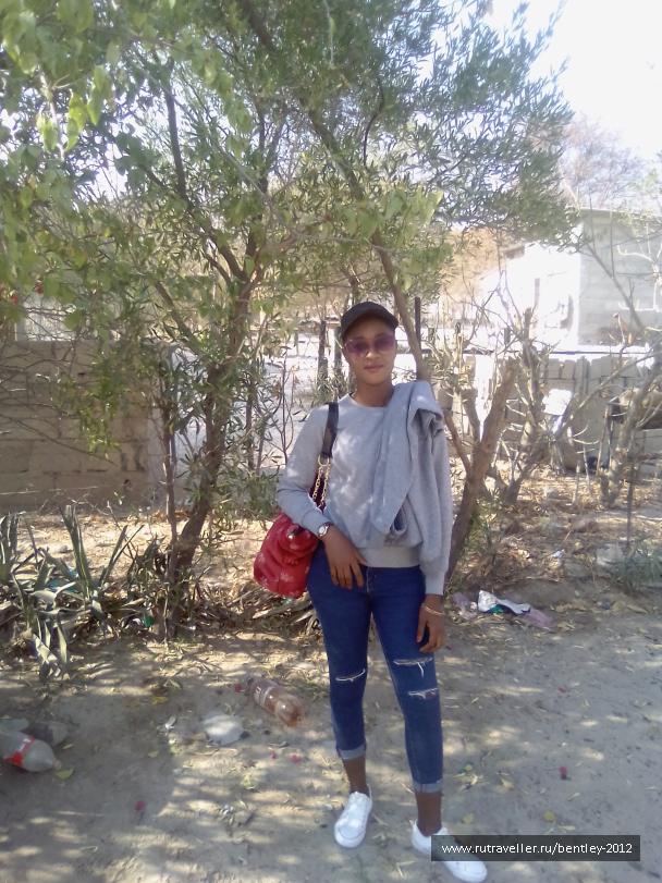 photo 1867478