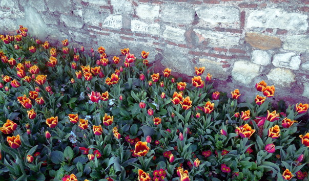 DSCN0172