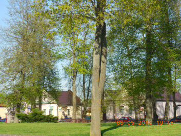 photo 362085