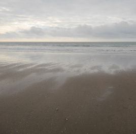 photo 640534