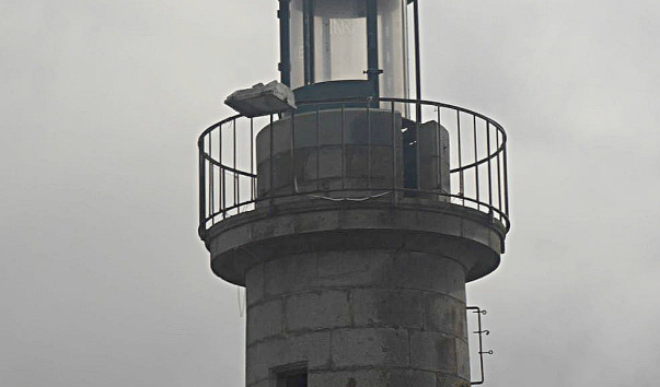 P1020545