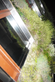 photo 563077