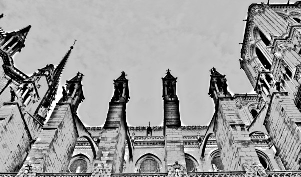 P1010971