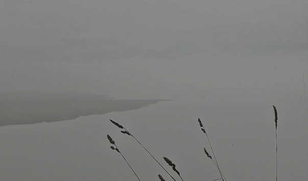 P1020482