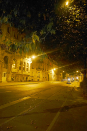 photo 645325