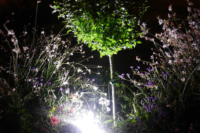 photo 645335