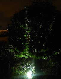 photo 645336