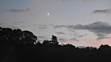 photo 643194