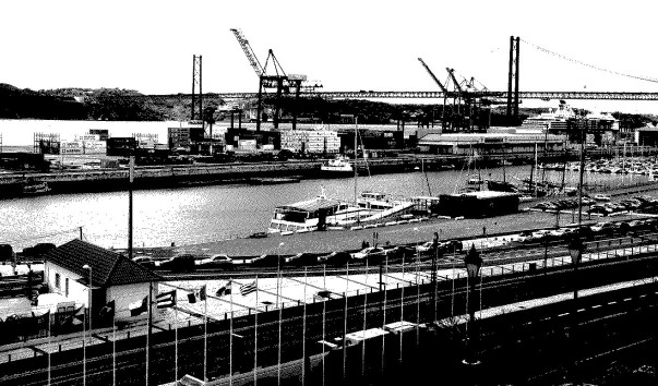 P1070646