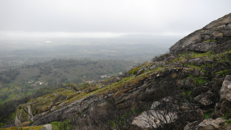 photo 703952