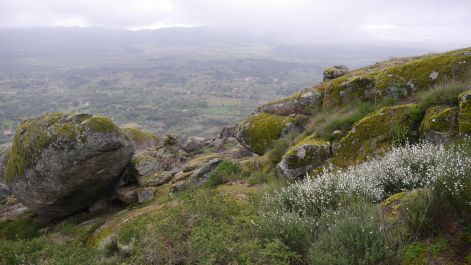 photo 703955
