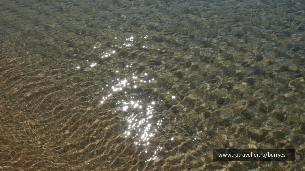 photo 814901