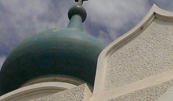 IMAG3116