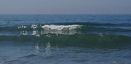photo 855692