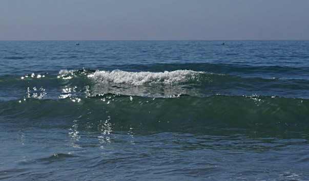 P4380363
