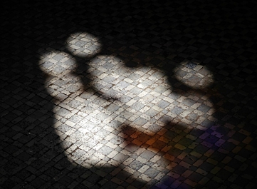 photo 856659