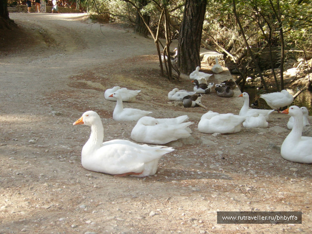 photo 507222