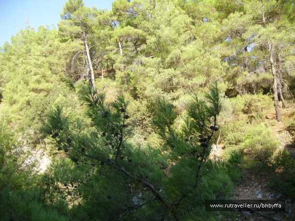 photo 507230