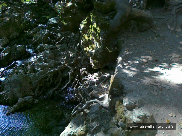 photo 507239