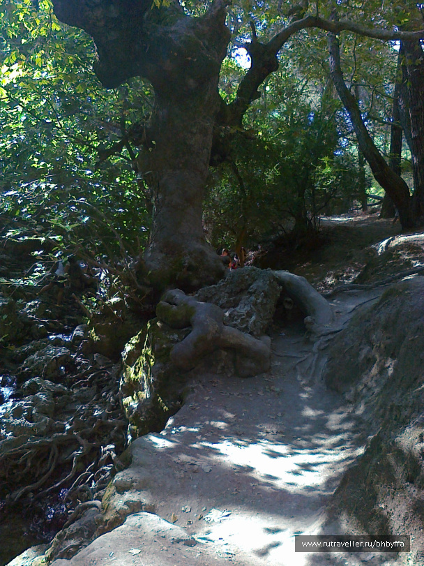 photo 507240