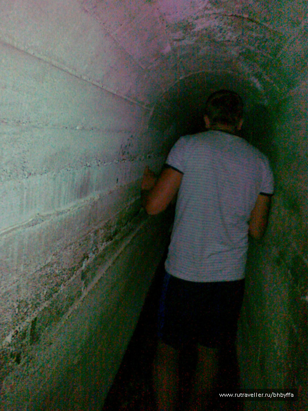 photo 507241