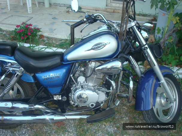 photo 194321