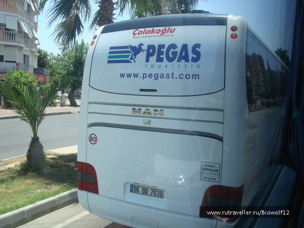 photo 194341