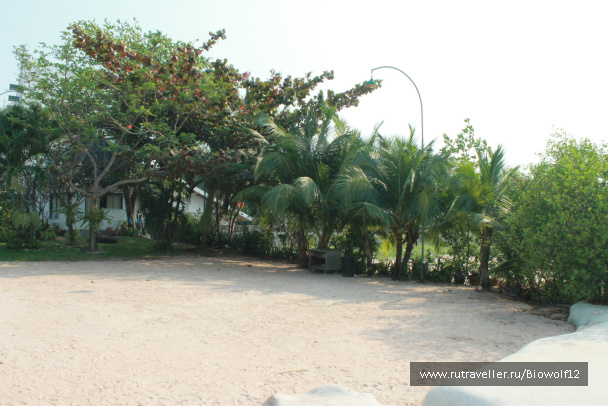 photo 292001