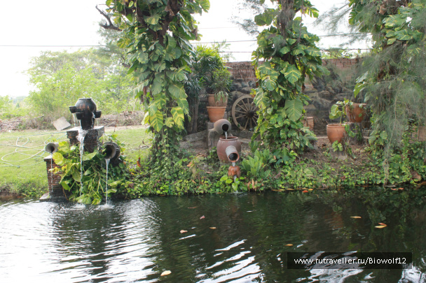 photo 292042