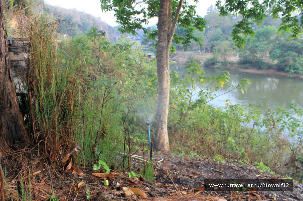 photo 292660