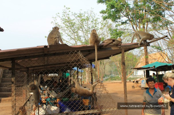 photo 292667