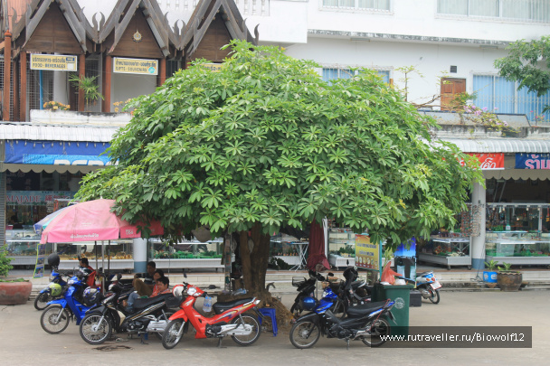 photo 292695