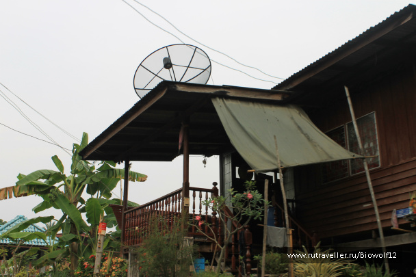 photo 292710