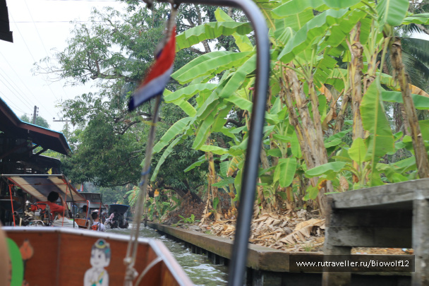 photo 292716