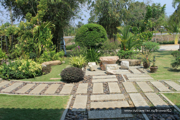 photo 292729