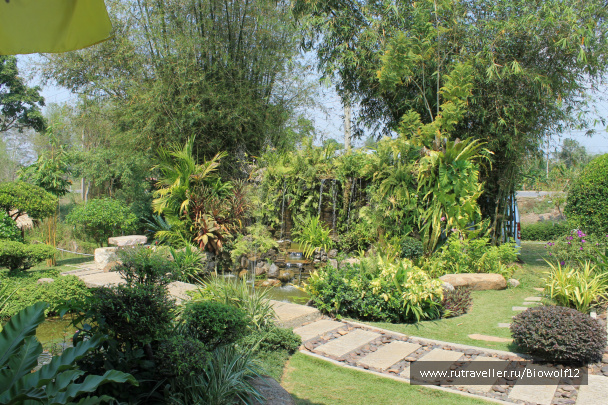 photo 292730