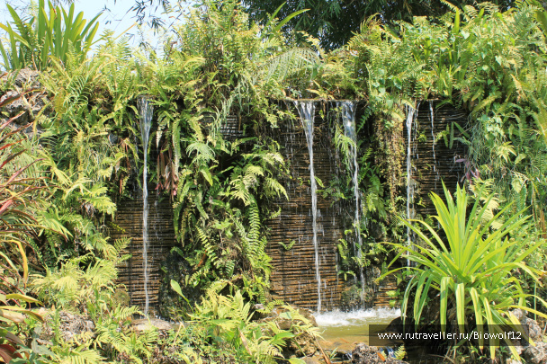 photo 292742