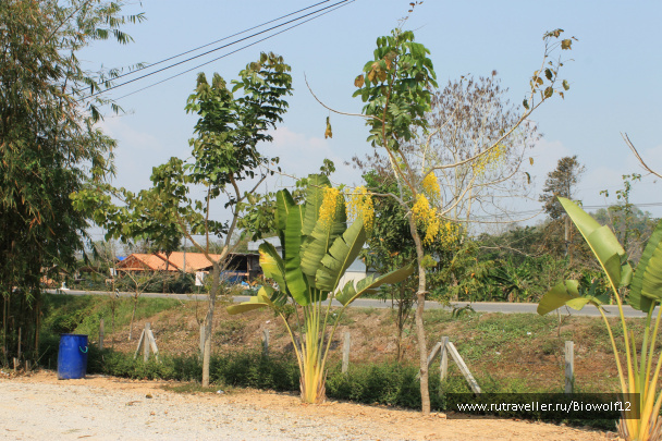 photo 292755