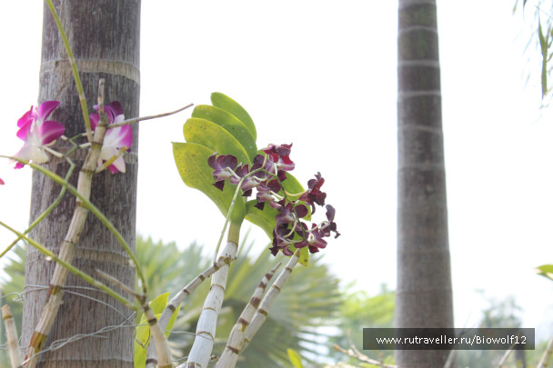 photo 292763