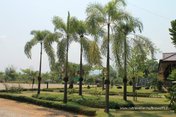 photo 292764