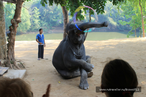 photo 292770