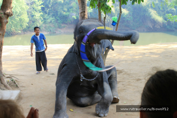 photo 292771