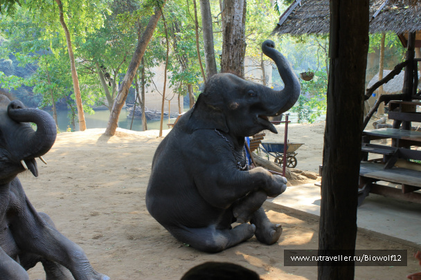 photo 292772