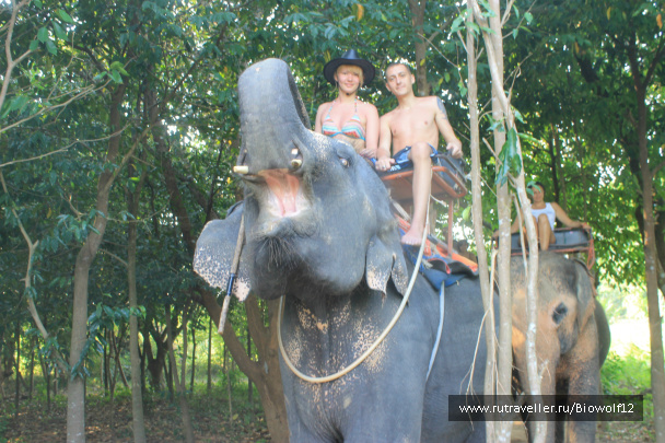 photo 292776