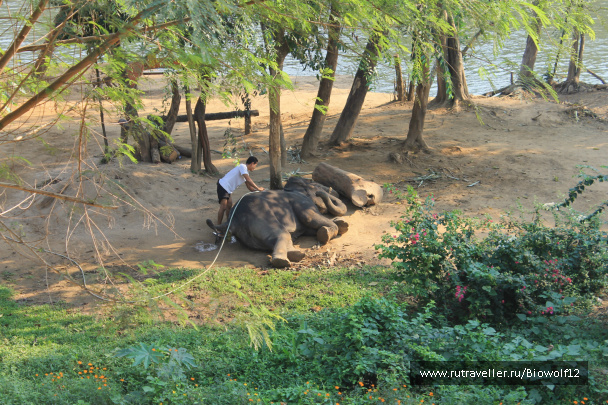 photo 292780