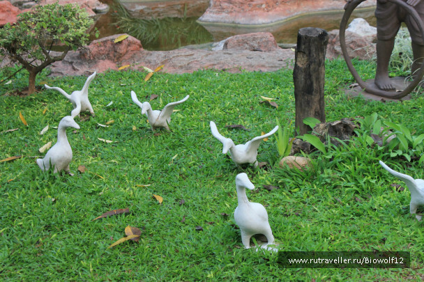photo 292787