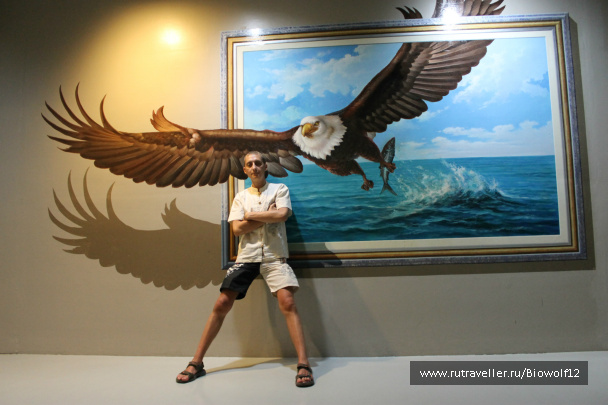 photo 298251