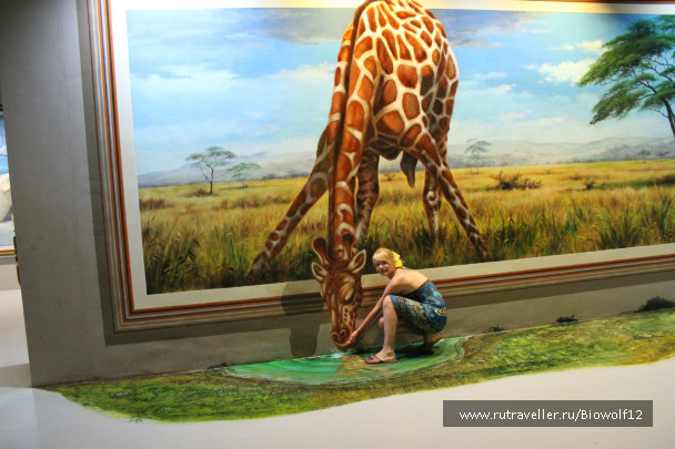 photo 298262